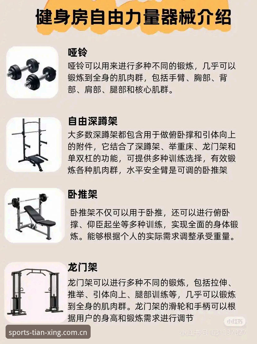 天行健身装备推荐攻略 天行健身装备推荐攻略:从新手到进阶的完整选购指南